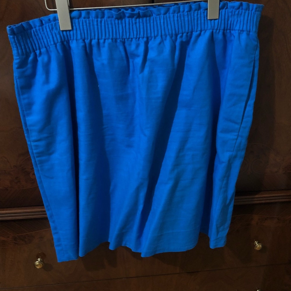 JCrew Blue Skirt